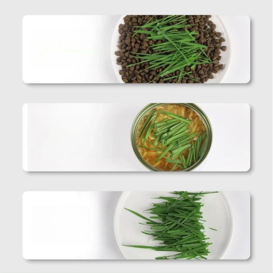 Premium Soilless Hydroponic Growing Cup - Lazy Planting Solution for Hydroponic Cultivation - High-Quality, Easy-to-Use Design