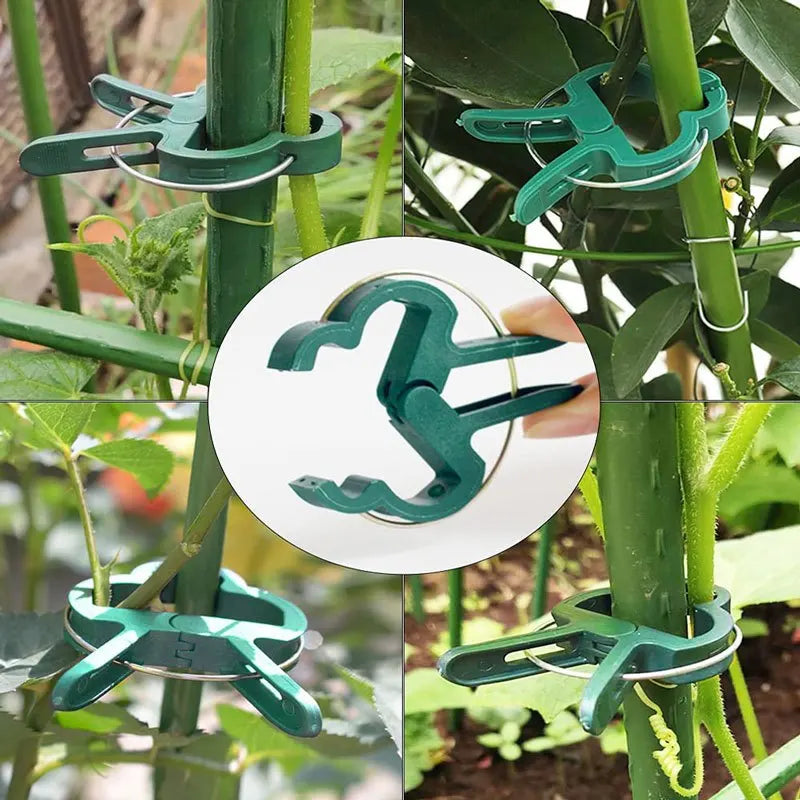 20pcs Reusable Plant Fixing Clips – Greenhouse Brackets for Vines, Flowers, Seedlings & Garden Stem Support