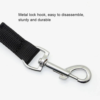 Elastic Kayak Paddle Leash — Adjustable Coiled Lanyard with Safety Hook for Fishing Rods