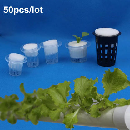 50pcs Hydroponic Mesh Net Baskets — Soilless Plant Nursery Cups for Veggie & Clone Growth