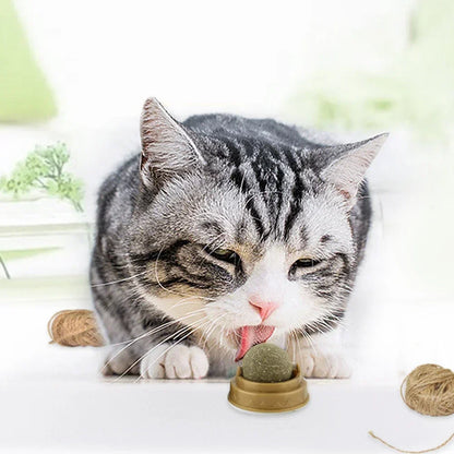 Pet Catnip Toys – Edible Catnip Balls for Healthy Teeth and Stomach, 1-10 Pack, Safe and Fun Chasing Game for Cats