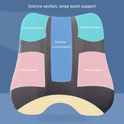 Memory Foam Seat Cushion & Waist Back Support Pillow Set – Orthopedic Ergonomic Coccyx & Lumbar Pad for Office Chair & Car