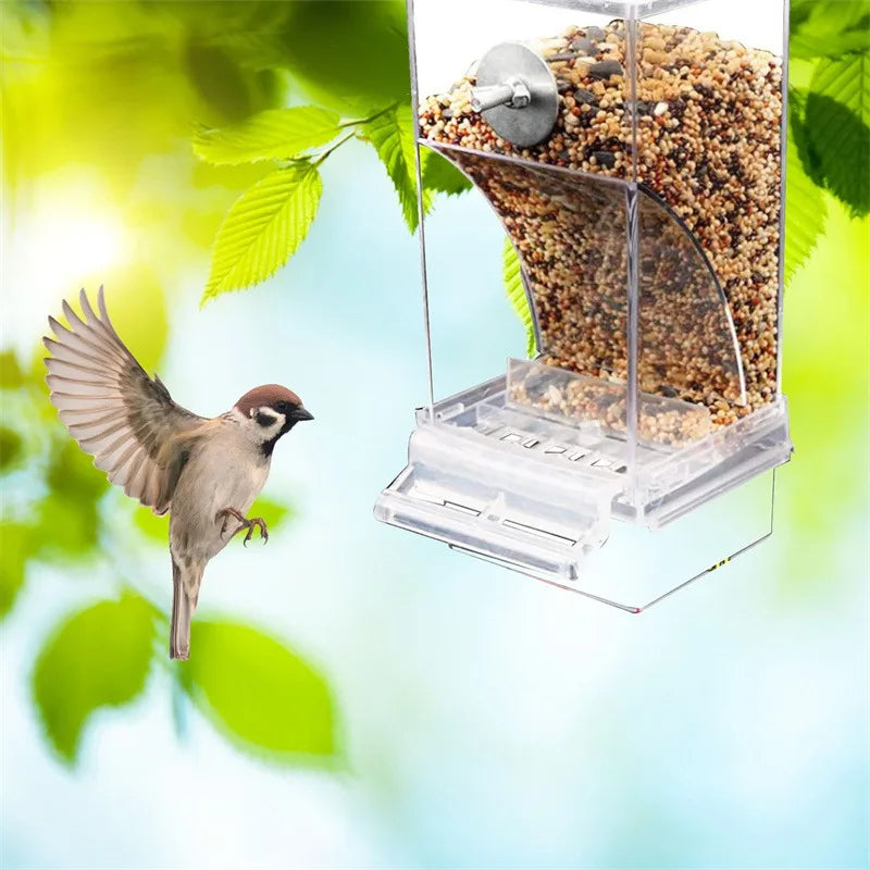 Automatic Bird Feeder: No-Mess Parrot Feeder & Drinker - Acrylic Seed Container for Small & Medium Parakeets