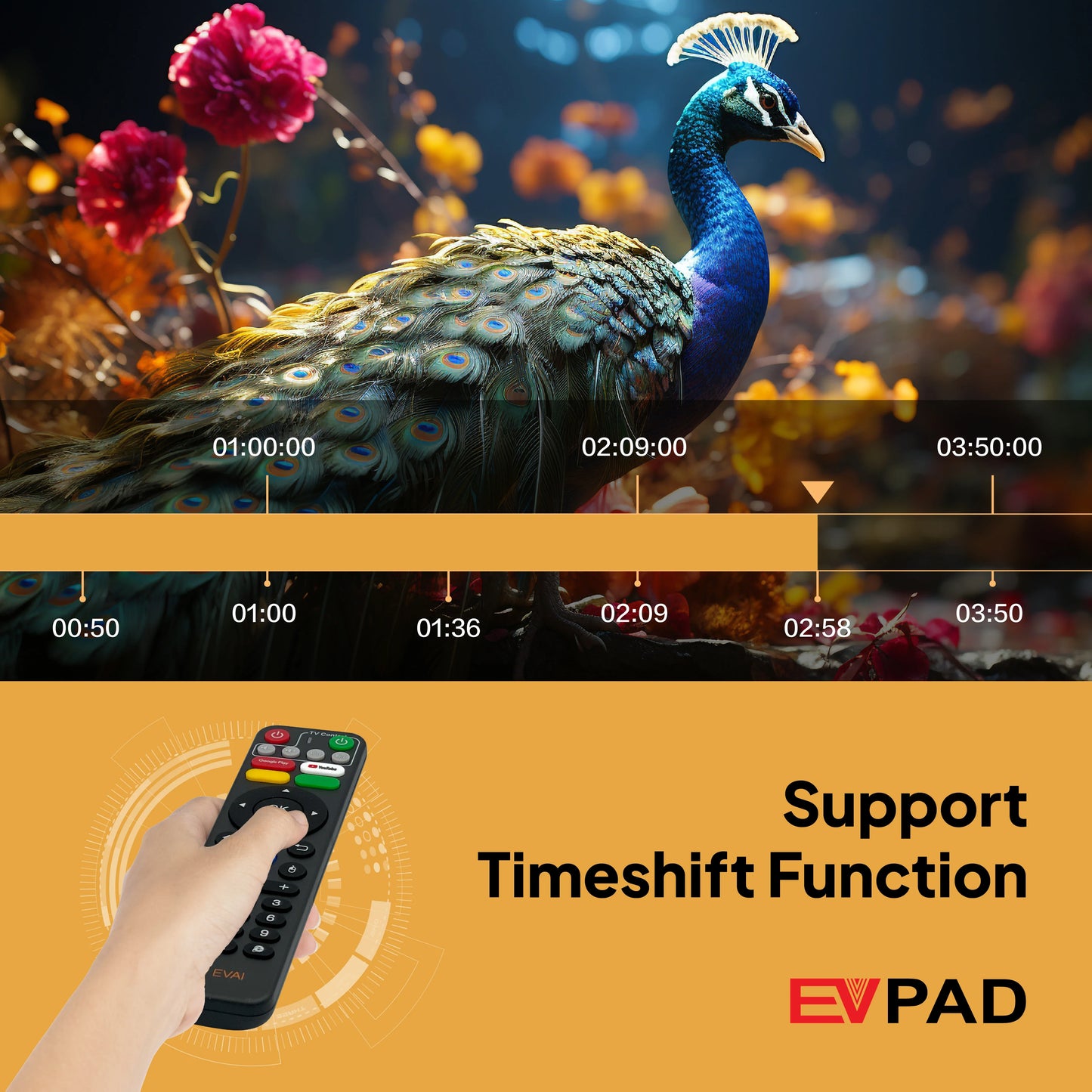 [Genuine] Evpad 11P 2025 Android TV Box – 4G/64G Set Top Box, Popular in Korea, Japan, USA, Singapore & More