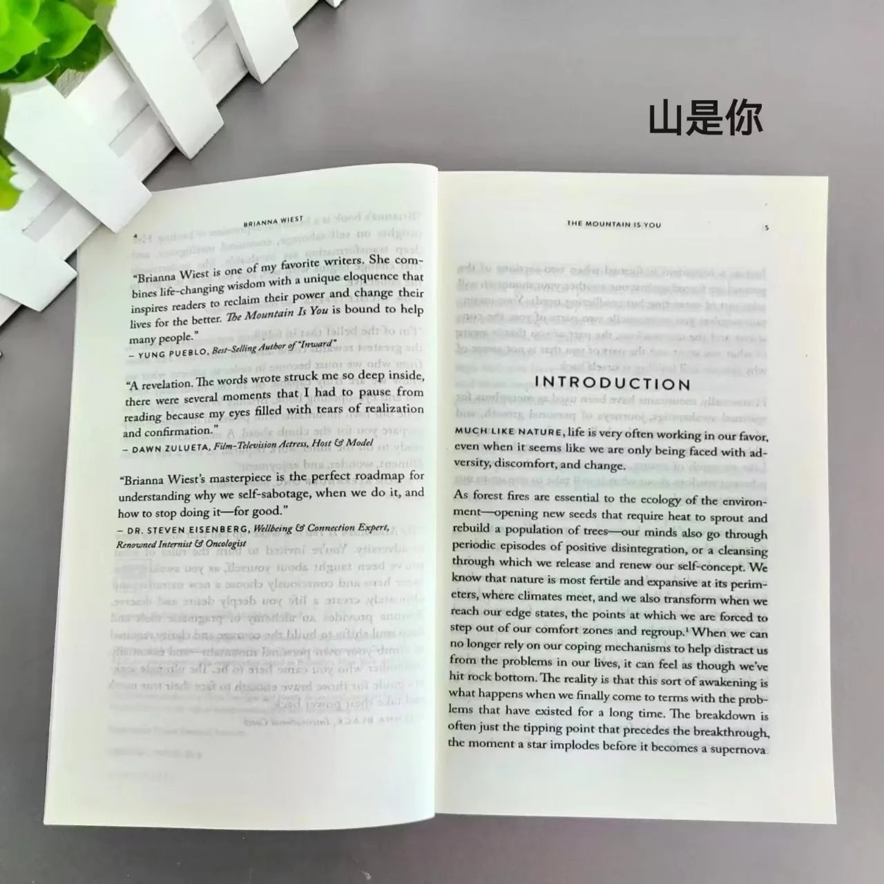 The Mountain Is You – Transforming Self-Sabotage Into Self-Mastery, English Book