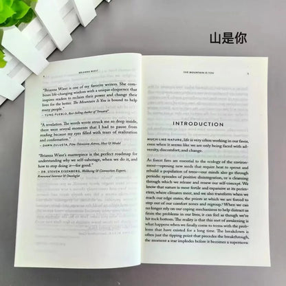 The Mountain Is You – Transforming Self-Sabotage Into Self-Mastery, English Book