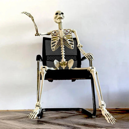 Halloween Life Size Human Skeleton Decoration — Realistic Body Bones with Posable Joints for Haunted House Horror Props