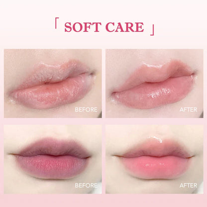 6PCS Fruit-Flavored Lip Balm Set with Aloe Vera – Deep Hydrating Lip Moisturizer, Anti-Dryness Lip Care, Plumping & Smoothing Lip Lines Treatment