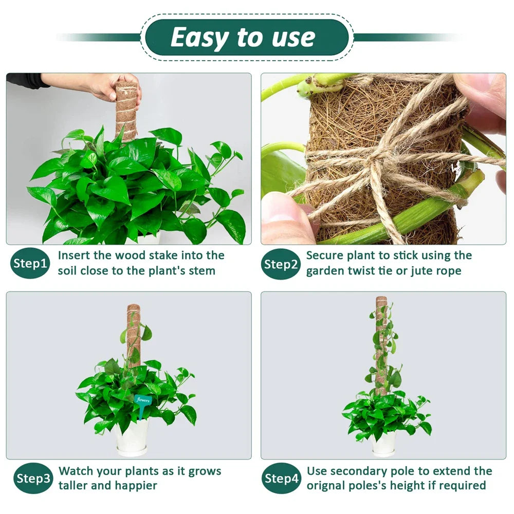 Indoor Climbing Plants Moss Pole - 30/40/50cm Plant Support with Garden Ties for Upward Growth - Ideal for Creepers