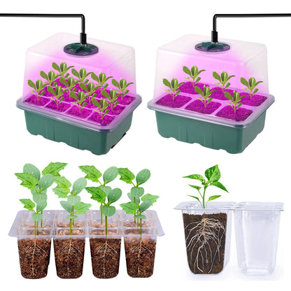 LED Grow Light with 6/12-Hole Seed Starter Trays — Indoor Plant Germination & Seedling Growing Box