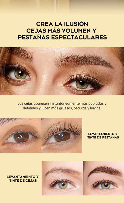 Gollee Lash & Brow Tinting Kit – Classic Black, Natural Eyelash Lifting Perm Treatment, Lasts 4-6 Weeks, Makeup Set for Lash Curler Perm