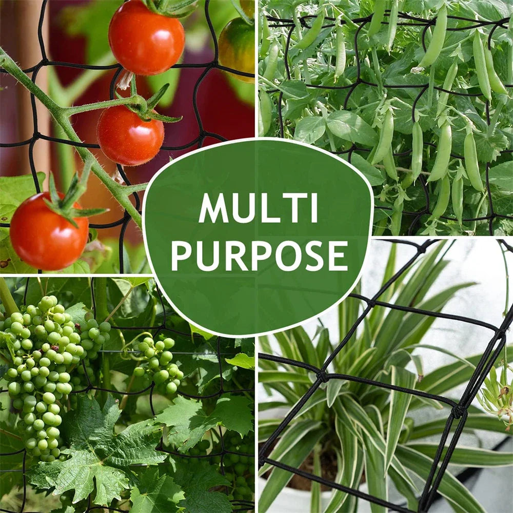 Heavy Duty Elastic Trellis Netting 1-Pack with 4 Hooks for Climbing Plants, Vegetables, Fruits, and Flowers