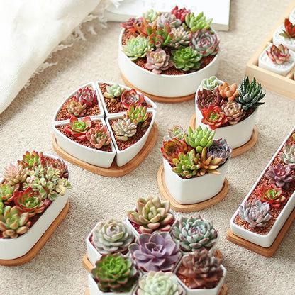 Mini Bamboo Tray Coaster – Wooden Saucer Plate for Flower Pots, Cups, and Coffee, Creative Kitchen & Home Decor Mat