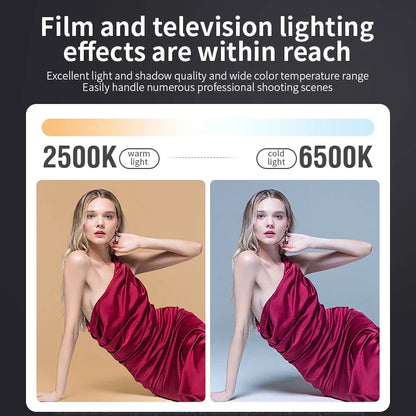 80W Dual Color Temperature COB Photography Light - Professional LED Video Light, Portable Handheld Fill Light with Mini Bowens