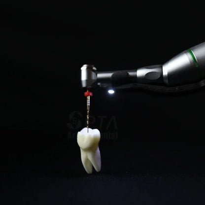 SPTA Cordless Dental Endo Motor – LED 16:1 Contra Angle with Reduction Head for Low-Speed Endodontic Treatment