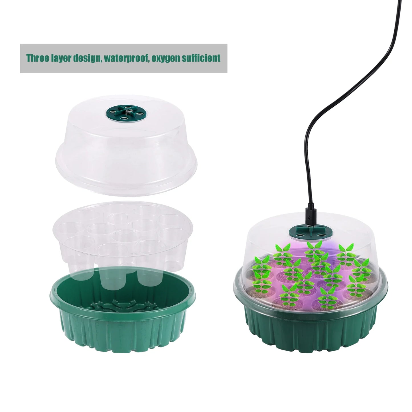 LED Grow Light with 6/12-Hole Seed Starter Trays — Indoor Plant Germination & Seedling Growing Box