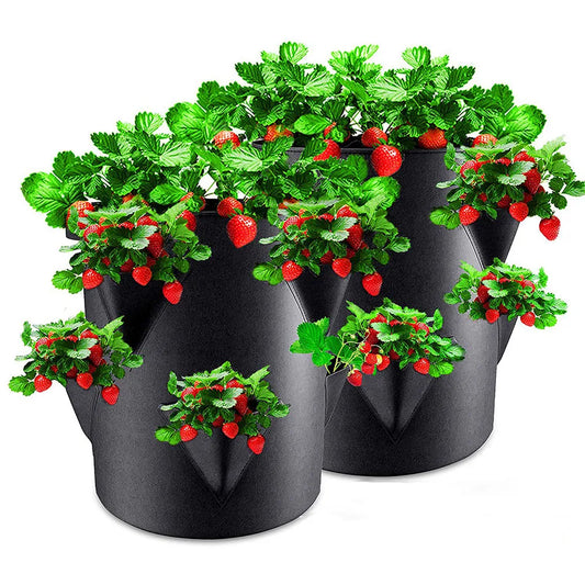 Multi-Mouth Grow Bag – 5/7/10 Gallon Reusable Planting Bags for Strawberry, Tomato, Herbs, and Flower Planters