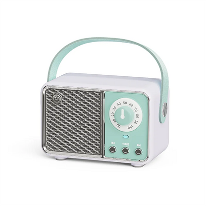 Wireless Portable Bluetooth Speaker — Mini Subwoofer Music Box with Hands-Free Function