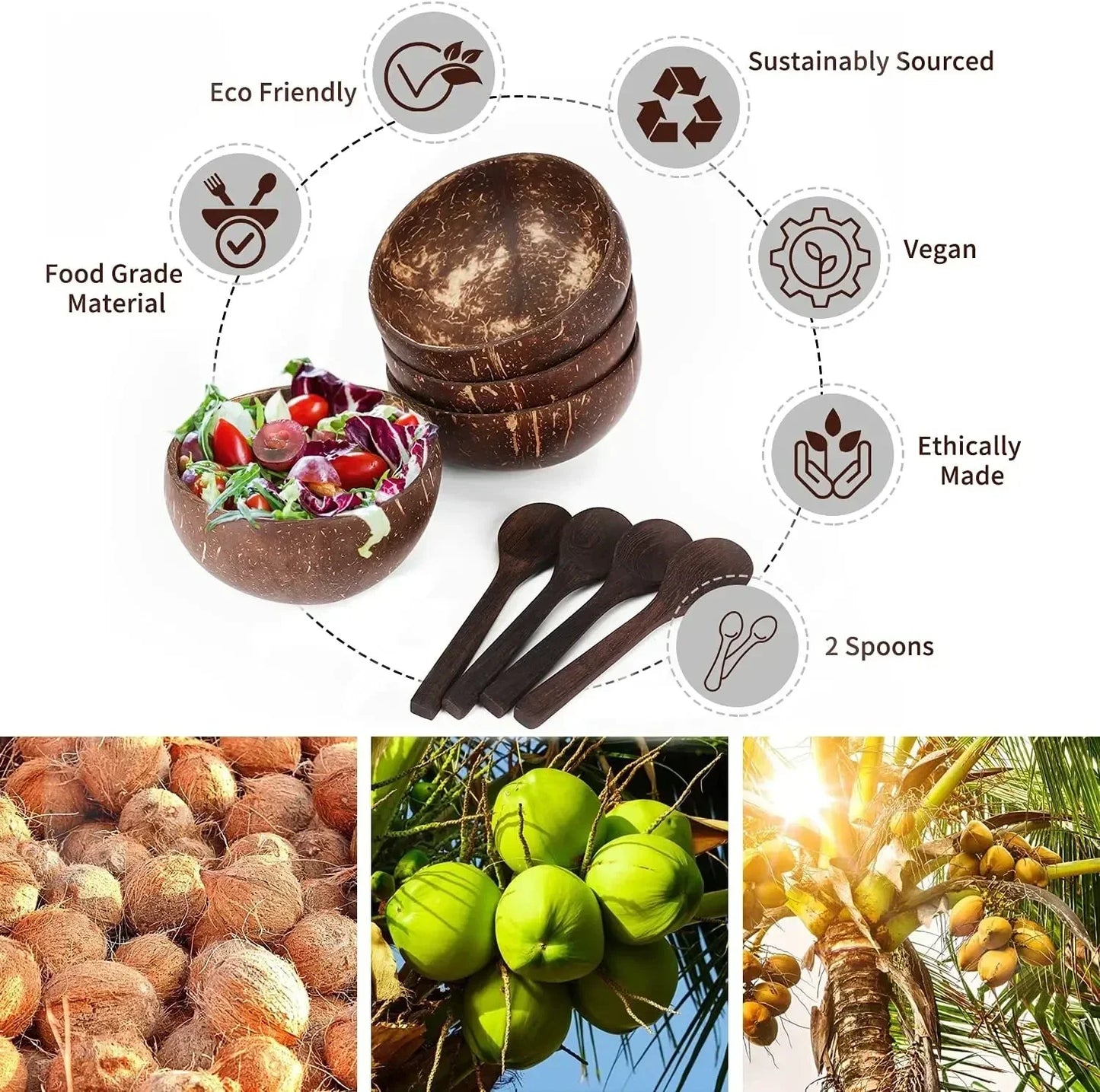 Natural Coconut Shell Bowl – Lightweight Fruit, Salad & Dessert Bowl Southeast Asia Tableware Set