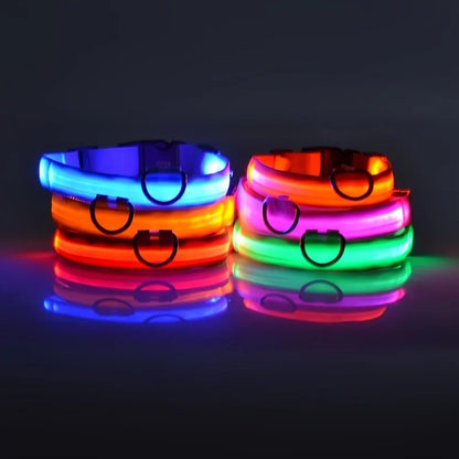 Nylon LED Night Safety Dog Leash: Flashing Glow-in-the-Dark Luminous Fluorescent Pet Collar