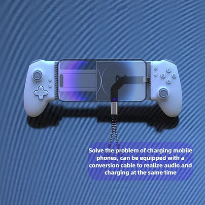 Universal Type-C Connector Adapter – Charging Port Converter for Fast Data Transfer & Power