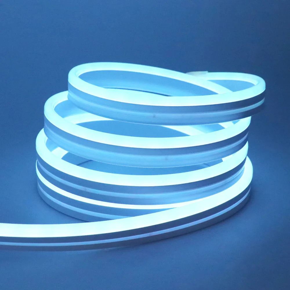 EU Plug DC24V RGB Neon LED Strip – 3535 Bluetooth Music Sync Waterproof Rope Light, 5-30M for Indoor & Outdoor Decor