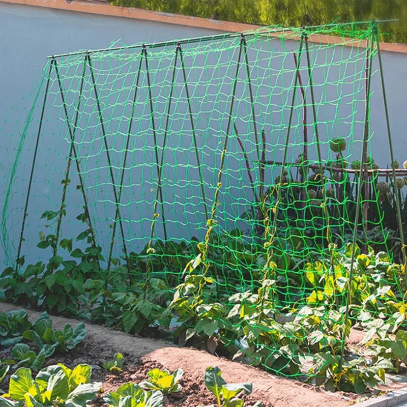 Heavy-Duty Garden Trellis Netting with Square Mesh – Polyester Grow Net for Climbing Plants & Vegetables