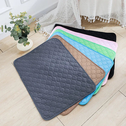 Reusable Dog Pee Pad Blanket – Absorbent Washable Puppy Training Mat & Pet Bed, Urine Protector for Car Seat, Pet Supplies