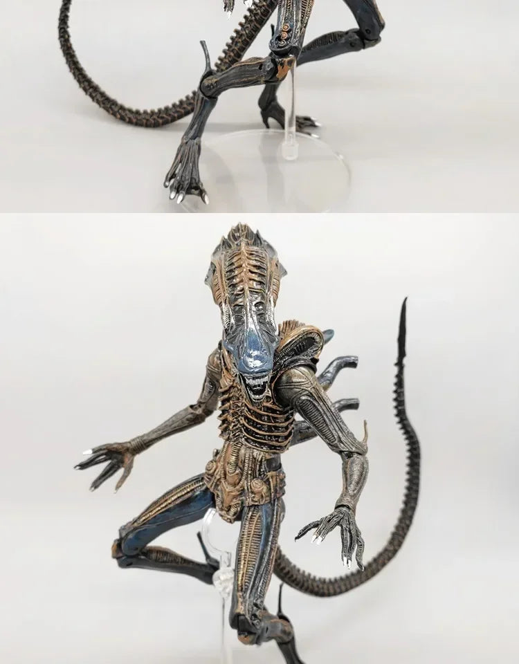 NECA Xenomorph Alien vs. Predator Action Figure — Fully Articulated Collectible with Movable Joints, Cool Toy & Gift