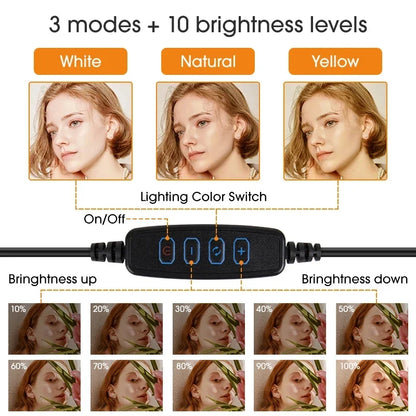10 Inch LED Selfie Ring Light - Dimmable Photography Fill Lamp With Mini Tripod for Phone Live Video Studio