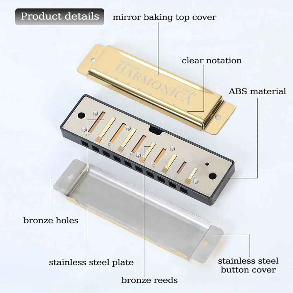 10-Hole C Diatonic Harmonica - Phosphor Bronze Beginner Mouth Organ with Case Kit