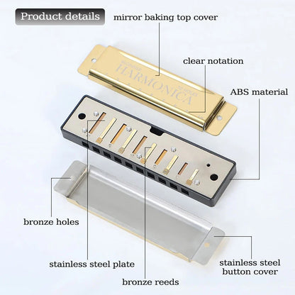 10-Hole C Diatonic Harmonica - Phosphor Bronze Beginner Mouth Organ with Case Kit