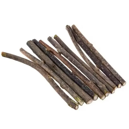 Silvervine Sticks for Cats – Natural Catnip Chew Toys for Teeth Cleaning, Kitten Teething & Training Pet Supplies Interactive Cat Teaser