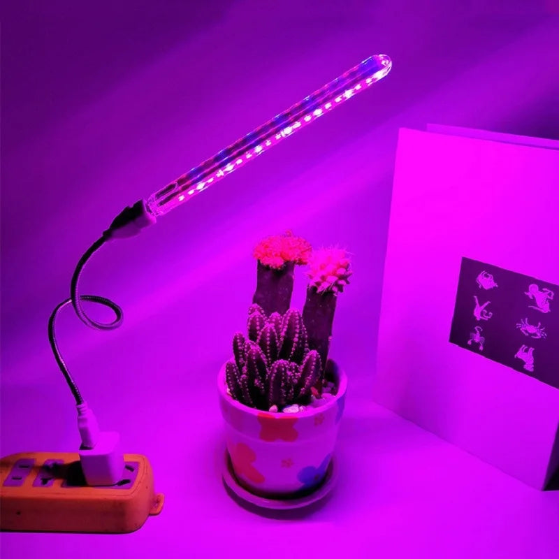 Portable Full Spectrum LED Grow Light — Red & Blue Phytolamp USB for Indoor Plants, Greenhouse, Vegetables & Hydroponics