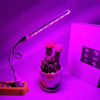 Portable Full Spectrum LED Grow Light — Red & Blue Phytolamp USB for Indoor Plants, Greenhouse, Vegetables & Hydroponics