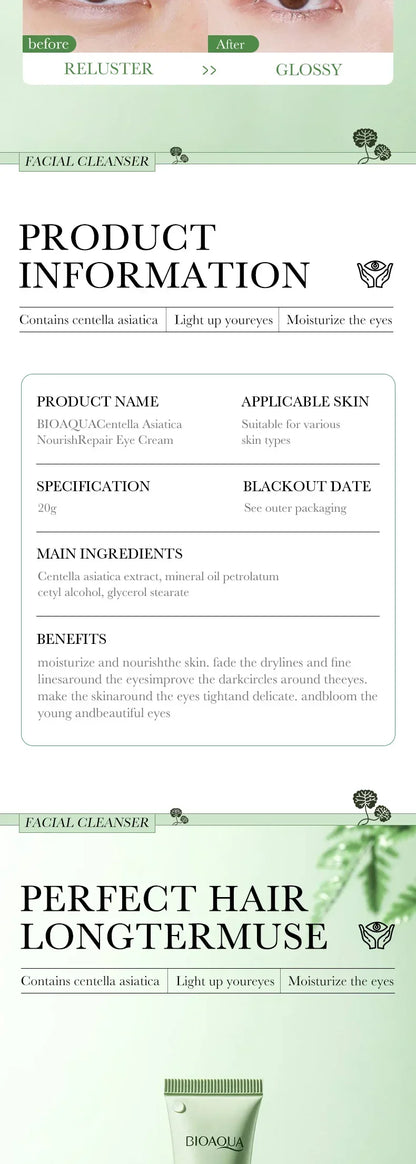 Mushroom Head Air Cushion CC Cream – Oil-Control Foundation, Whitening Concealer & Moisturizing BB Cream for Face Makeup