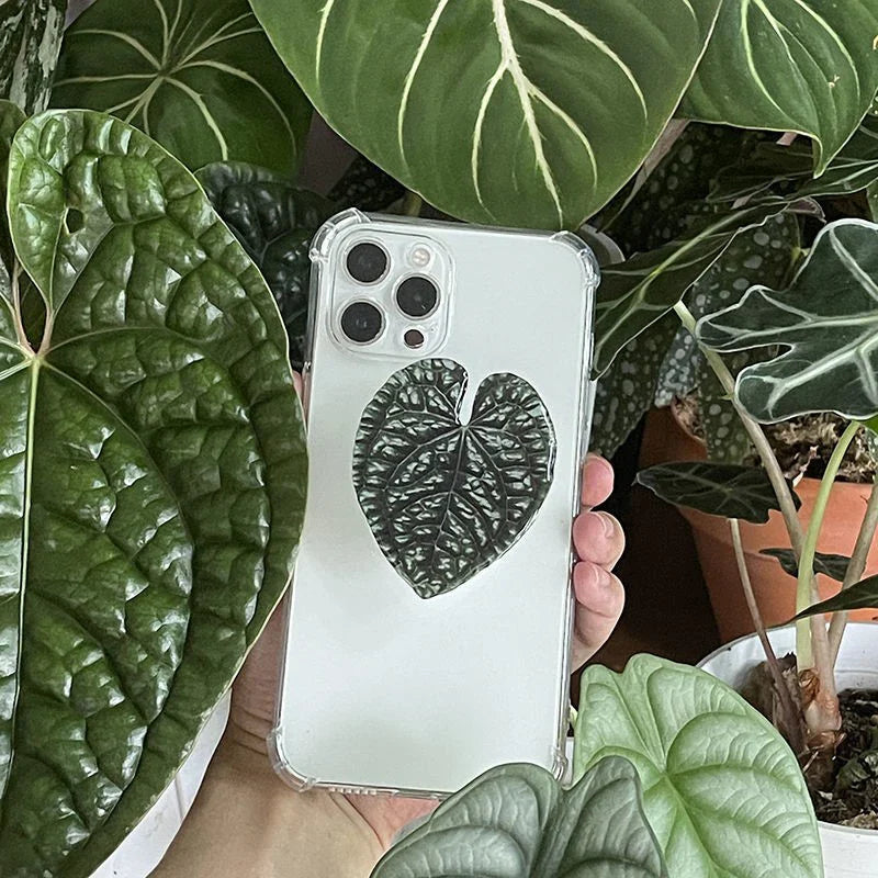 Popular Cute Simulation Leaf Phone Holder Grip - Foldable & Expandable Finger Ring Support Stand - Glossy Griptok Pocket Socket