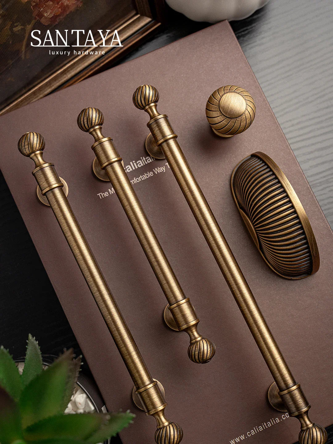 Santaya Brushed Antique Brass Cabinet Handles – Luxury Shell Drawer Pulls for Kitchen, Wardrobe & Dresser Furniture Hardware Knobs