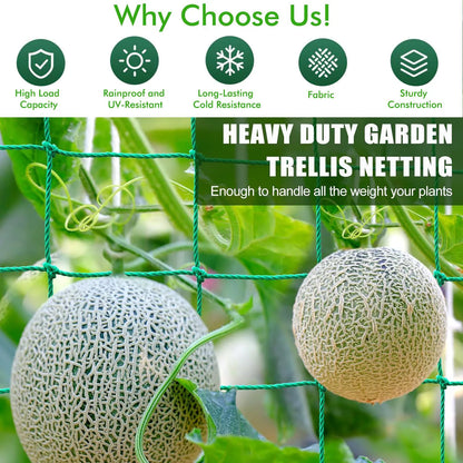 Heavy Duty Garden Nylon Climbing Net – Polyester Vine Support Mesh for Cucumbers, Tomatoes & Grapes