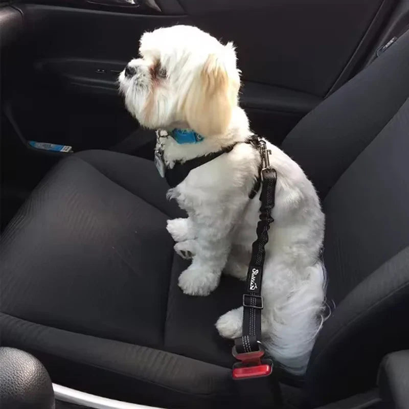 High-Grade Adjustable Dog Car Safety Belt — Shock-Absorbing Damping Strap with Reflective Trim, Universal Fit