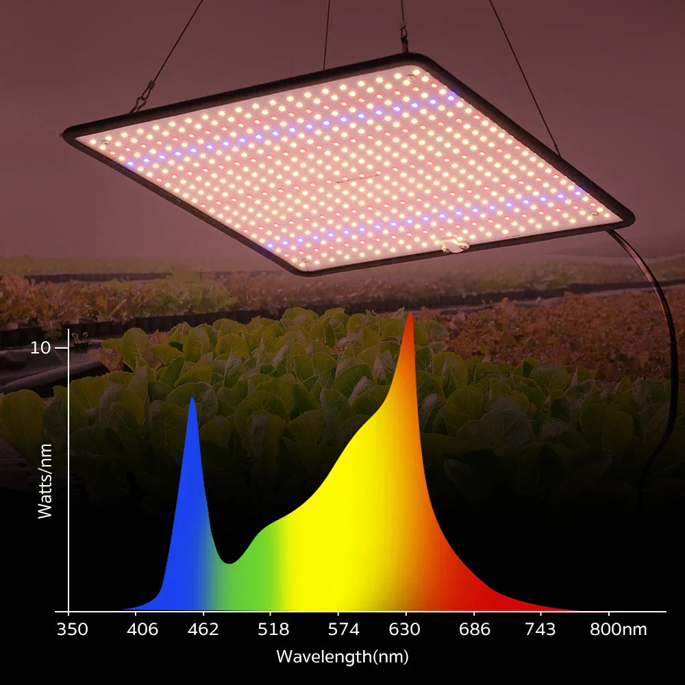 40W LED Grow Light Full Spectrum Phyto Lamp - AC85-240V for Indoor Grow Tent Plants, Growth Light