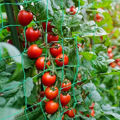 Heavy-Duty Garden Trellis Netting with Square Mesh – Polyester Grow Net for Climbing Plants & Vegetables