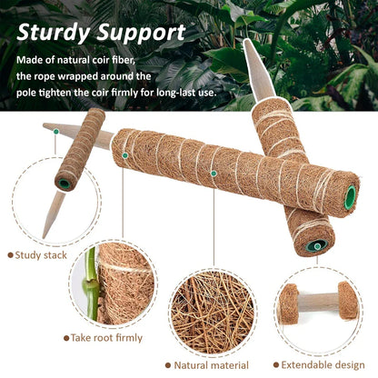 Indoor Climbing Plants Moss Pole - 30/40/50cm Plant Support with Garden Ties for Upward Growth - Ideal for Creepers
