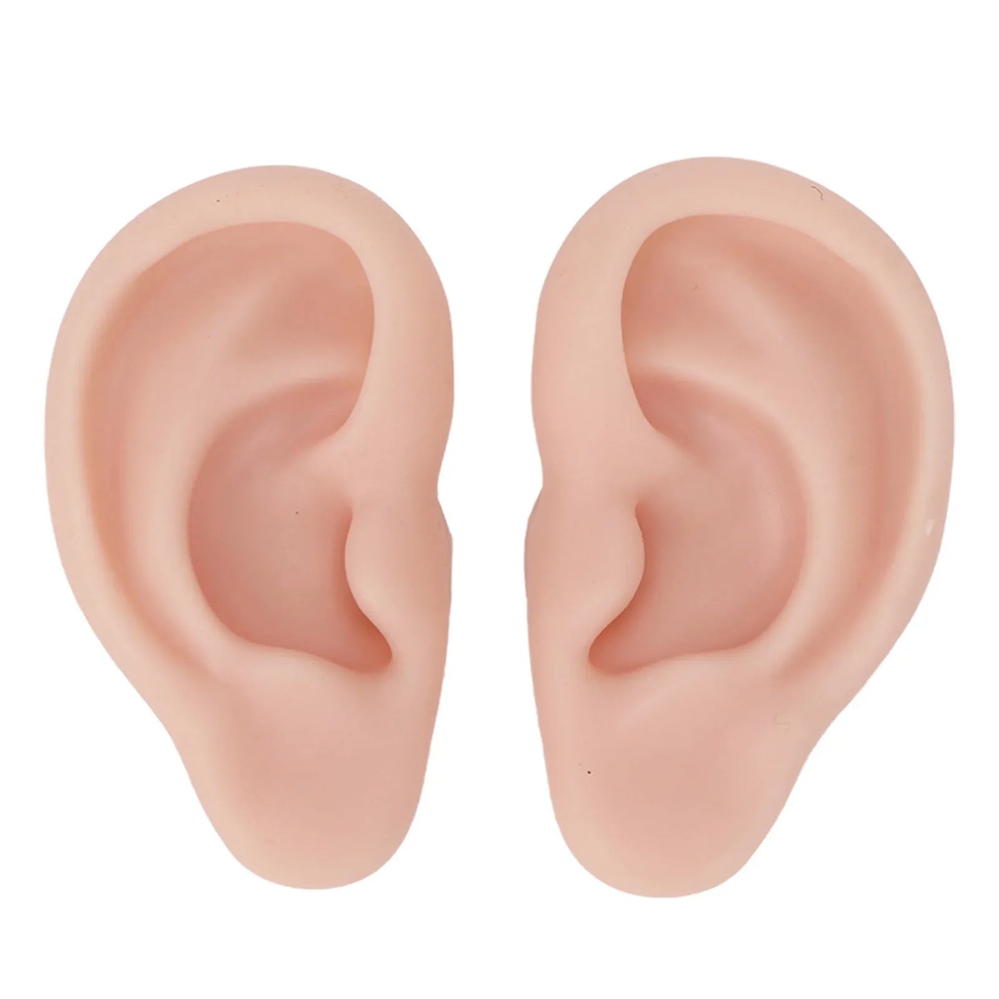Soft Silicone Ear Model – Flexible Piercing Practice & Earring Display Training Mannequin for Jewelry Showcase & Ear Piercing Practice