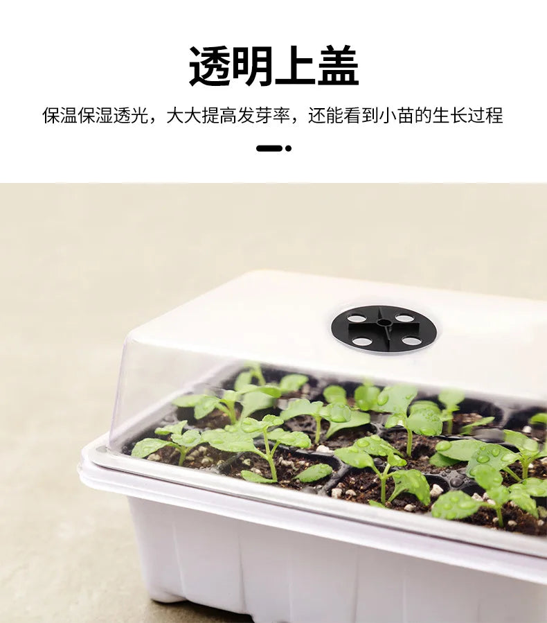 12-Well Plastic Seedling Tray | Insulated Pot for Succulent & Seed Sowing