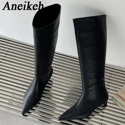 Aneikeh 2025 Fashion Sexy Pointed Low Heel Knee-High Boots – Women's Spring/Autumn PU Western Party Boots (Size 35-40)