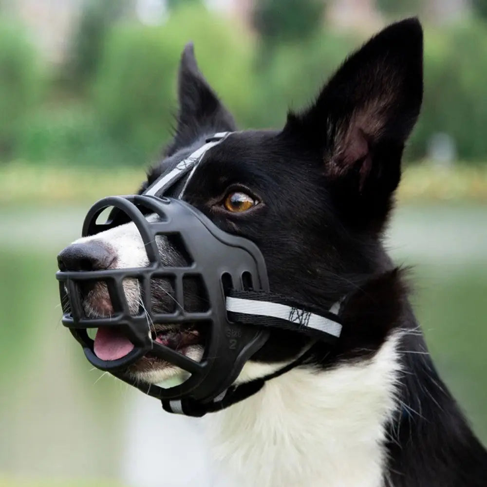 Adjustable Dog Muzzle with Reflective Strip – Anti-Biting Breathable Plastic Mouth Cover for Dogs