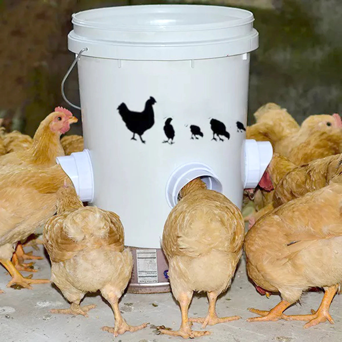 DIY Rain-Proof Chicken Feeder Kit: Poultry Feeding Supplies for Buckets, Barrels, Bins, Troughs - Gravity Feed Port