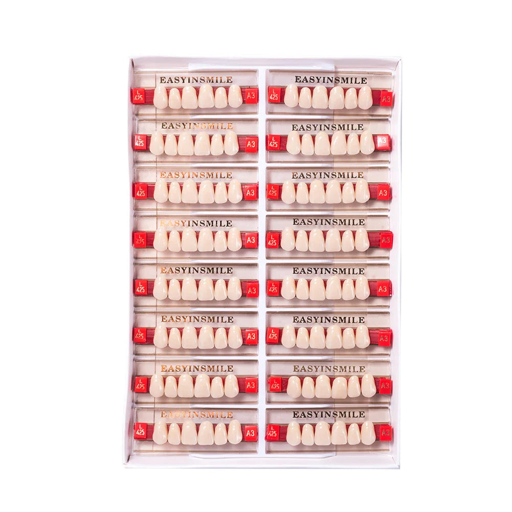 16/12 Set Dental Denture Teeth Model Kit, Upper & Lower Anterior Synthetic Polymer Teeth A2 A3 for Dental Education & Training