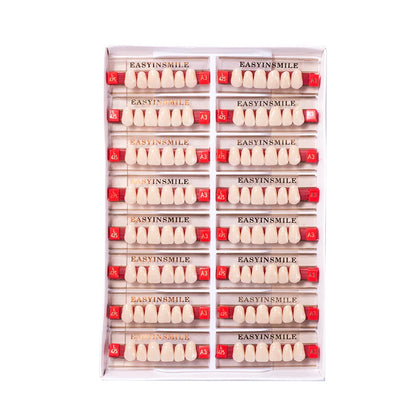 16/12 Set Dental Denture Teeth Model Kit, Upper & Lower Anterior Synthetic Polymer Teeth A2 A3 for Dental Education & Training
